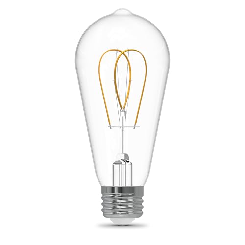 ST19 LED Vintage Light Bulb (2 Count)