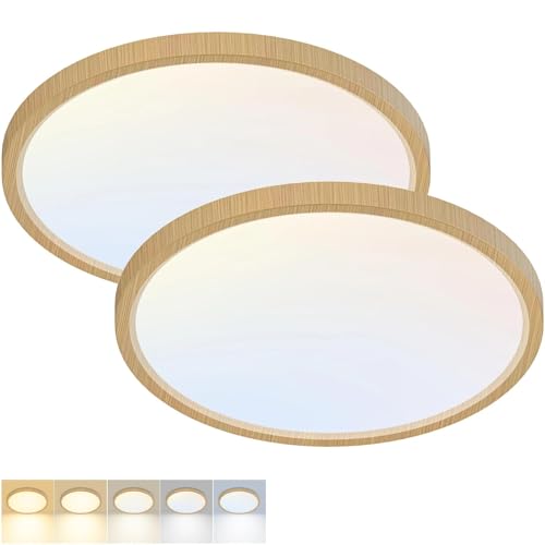 2 Pack LED Flush Mount Ceiling Light