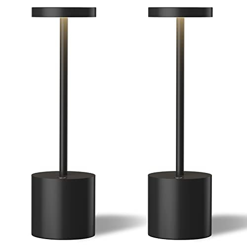 LED Cordless Table Lamps Set of 2 (2 Count)