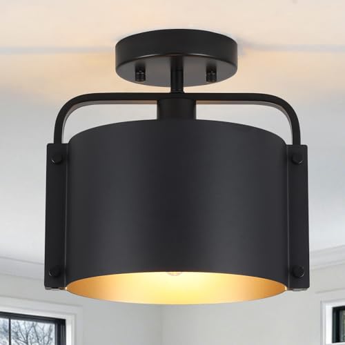 Flush Mount Ceiling Light