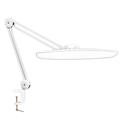 LED Desk Lamp with Clamp