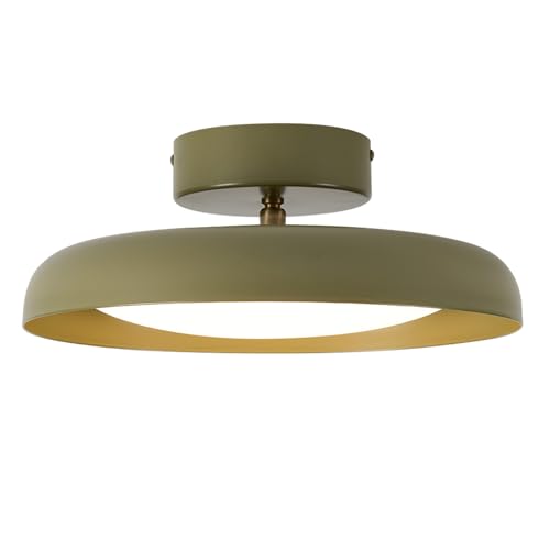 Modern LED Ceiling Light
