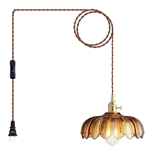 Plug in Pendant Light