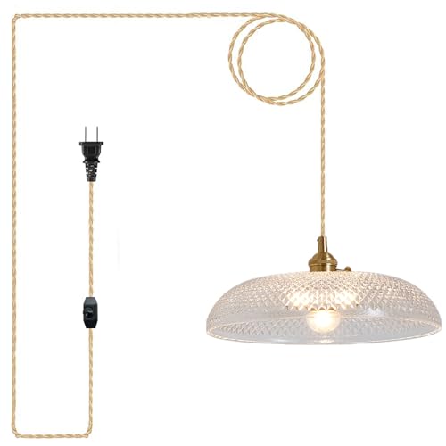 Plug in Pendant Light