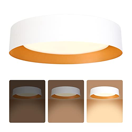16.5" Flush Mount Ceiling Light