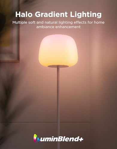 Lantern Floor Lamp
