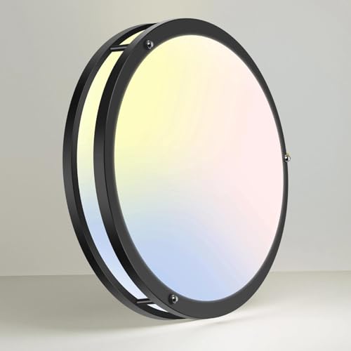 10Inch Flush Mount Ceiling Lights