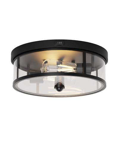 Outdoor Flush Mount Ceiling Light
