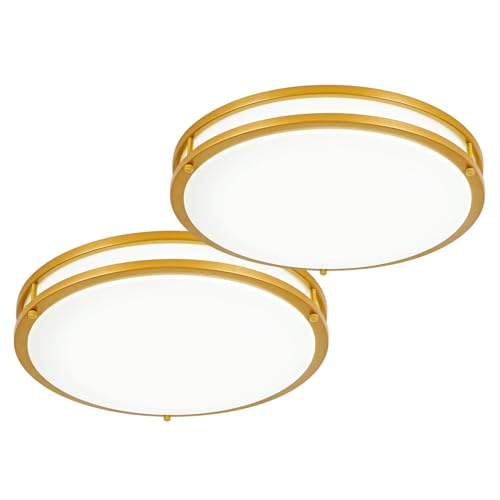DLLT Flush Mount LED Ceiling Light