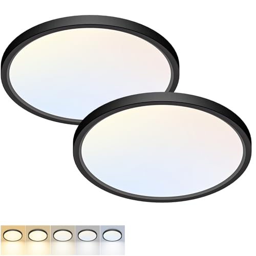2 Pack LED Flush Mount Ceiling Light