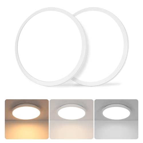 2 Pack 12 Inch Ceiling Light (2 Count)