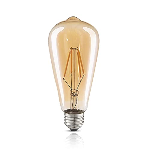 LED Edison Bulbs
