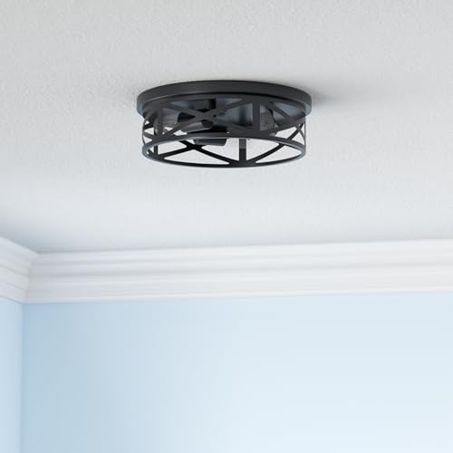 13 inch Black Flush Mount Ceiling Light Fixture