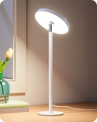 LED Desk Lamp