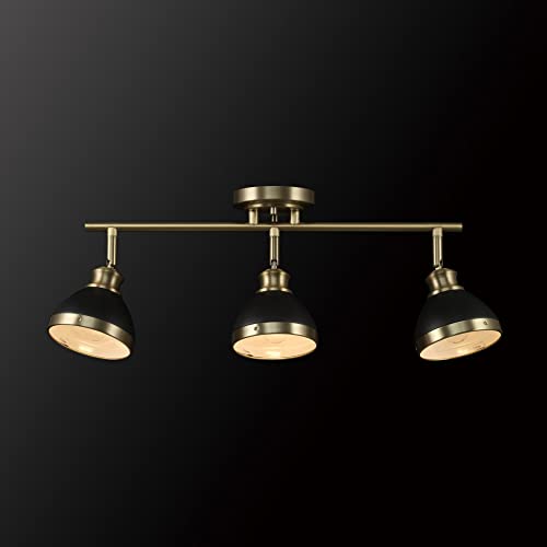 Gerard 3 Light Track Lighting Canopy Light