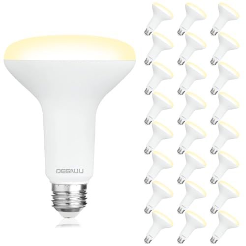 24 Pack Indoor Flood Light Bulbs (24 Count)