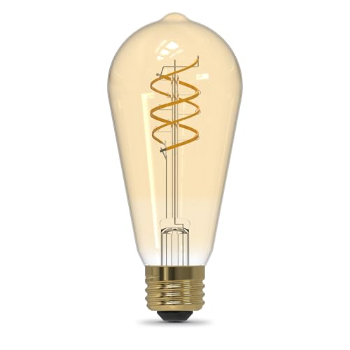 ST19 Vintage LED Light Bulb (2 Count)