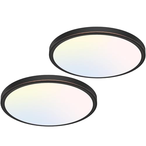 12 inch Flush Mount LED Ceiling Light Fixture (2 Count)