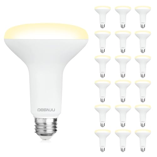18 Pack BR30 LED Recessed Light Bulb (18 Count)