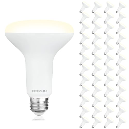 48 Pack Indoor Flood Light Bulbs (48 Count)