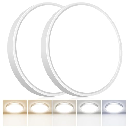 2Pack 12Inch LED Flush Mount Ceiling Light Fixture 5CCT 24W 2800LM Closet Light Fixture