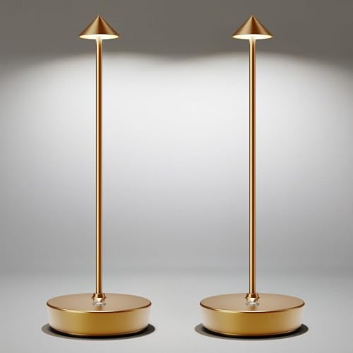 LED Cordless Rechargeable Table Lamps (2 Count)