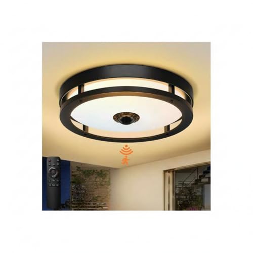 Outdoor Motion Sensor Ceiling Light with Remote