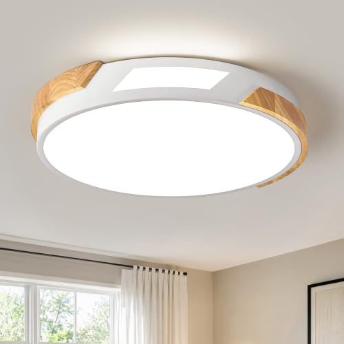 Modern LED Ceiling Light