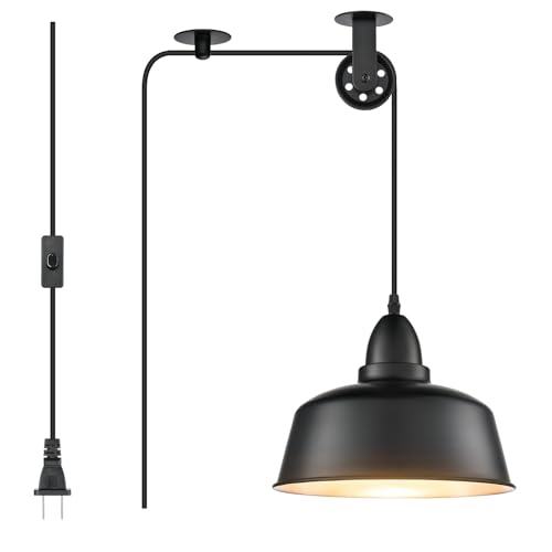 Farmhouse Industrial Plug
