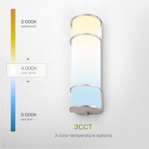 LED 18" Vanity Flush Mount Light Fixture