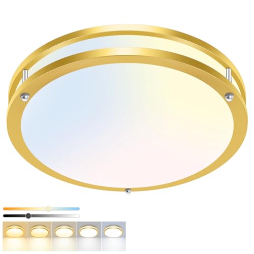 1 Pack Flush Mount Ceiling Light Fixture