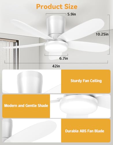 Ceiling Fans with Lights