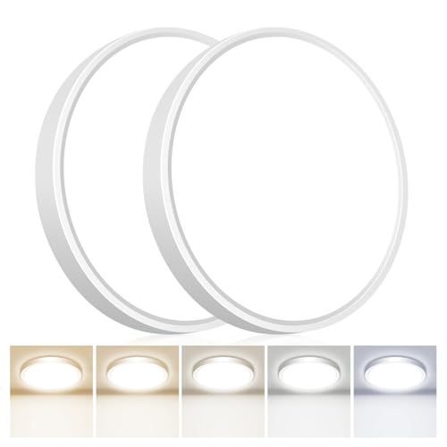 LED Flush Mount Ceiling Light (2 Count)
