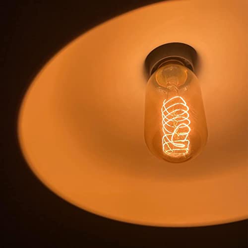 T45 Edison Bulbs (4 Count)