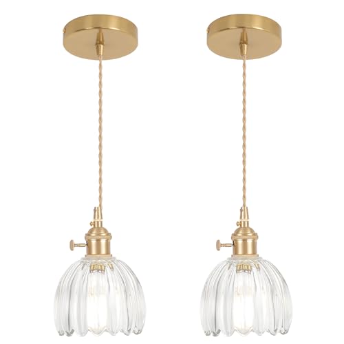 Pendant Light 2 Pack with Clear Tulip Glass Lmapshade (2 Count)