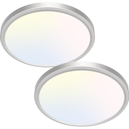 Silver Flush Mount Ceiling Light (2 Count)