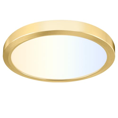 9 Inch Selectable CCT LED Round Flat Panel Light