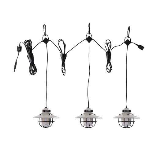Edison Pendant String Lights