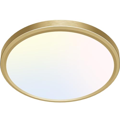 LED Ceiling Light Golden