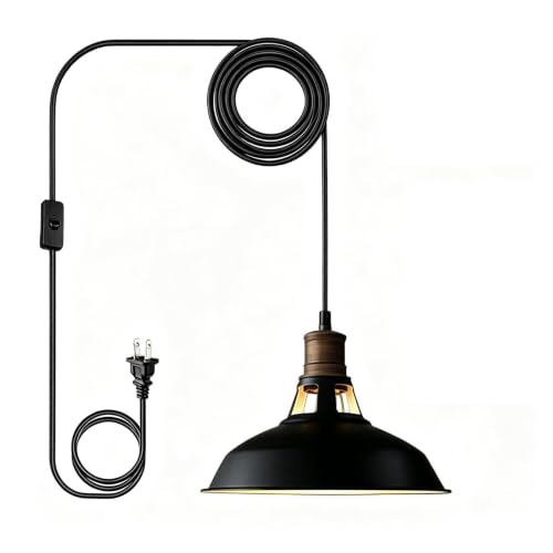 Black Plug in Pendant Light Metal Barn Lights with On