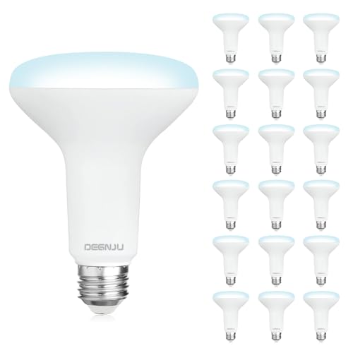 18 Pack BR30 LED Recessed Light Bulb (18 Count)