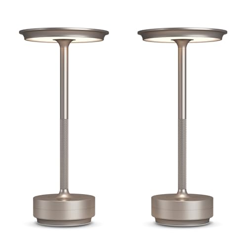 2 Pack Cordless Table Lamps Rechargeable (2 Count)