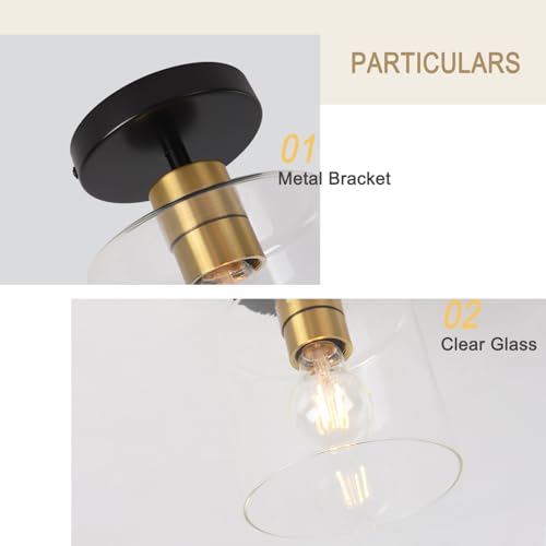 Black Brass Semi Flush Mount Ceiling Light