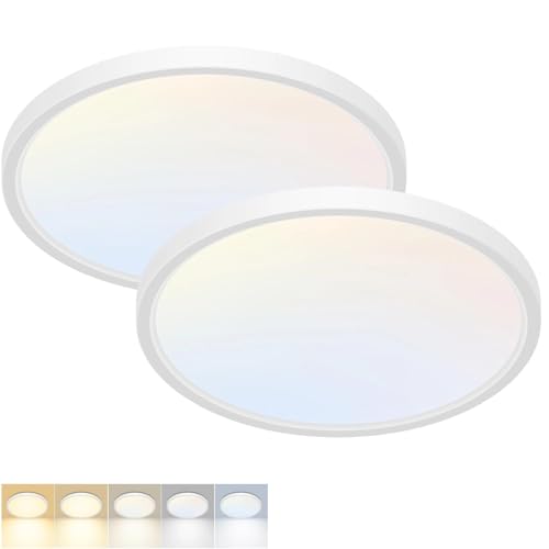 2 Pack LED Flush Mount Ceiling Light