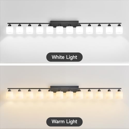 12 Light Black Vanity Lights for Giant Mirror