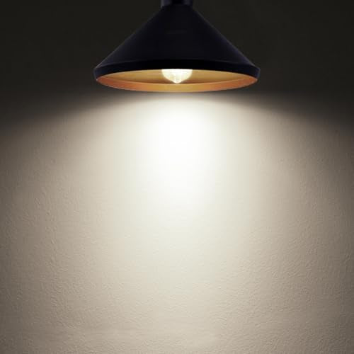 Edison Bulbs Dimmable