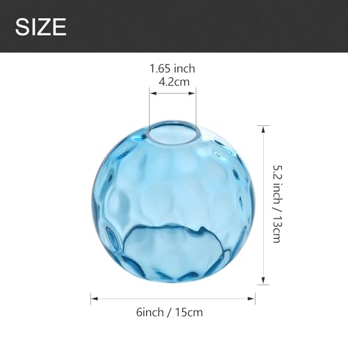 3 Pack Fixture Replacement Globe Shade (3 Count)