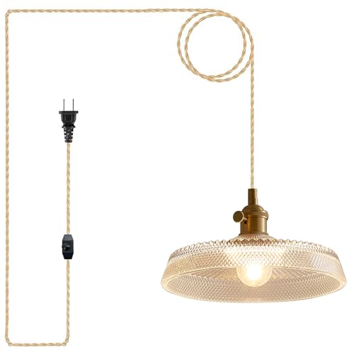 Vintage Plug in Pendant Light with Thickened Clear Glass Shade