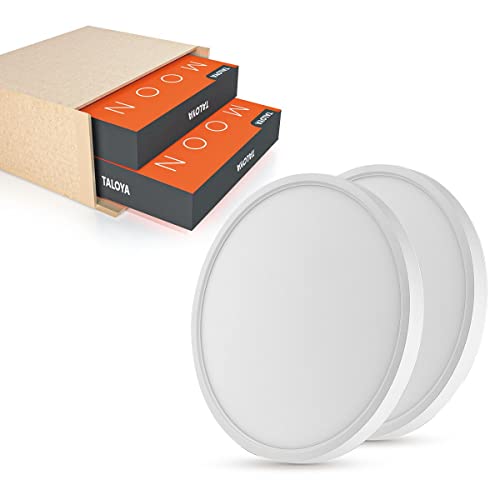 2 Pack 12 Inch LED Flush Mount Ceiling Light Fixture (2 Count)