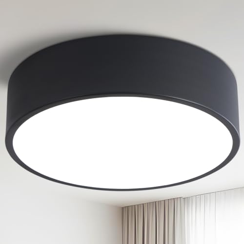 Dimmable Modern Black Flush Mount LED Ceiling Light Fixture (Black / 11.81 inch)